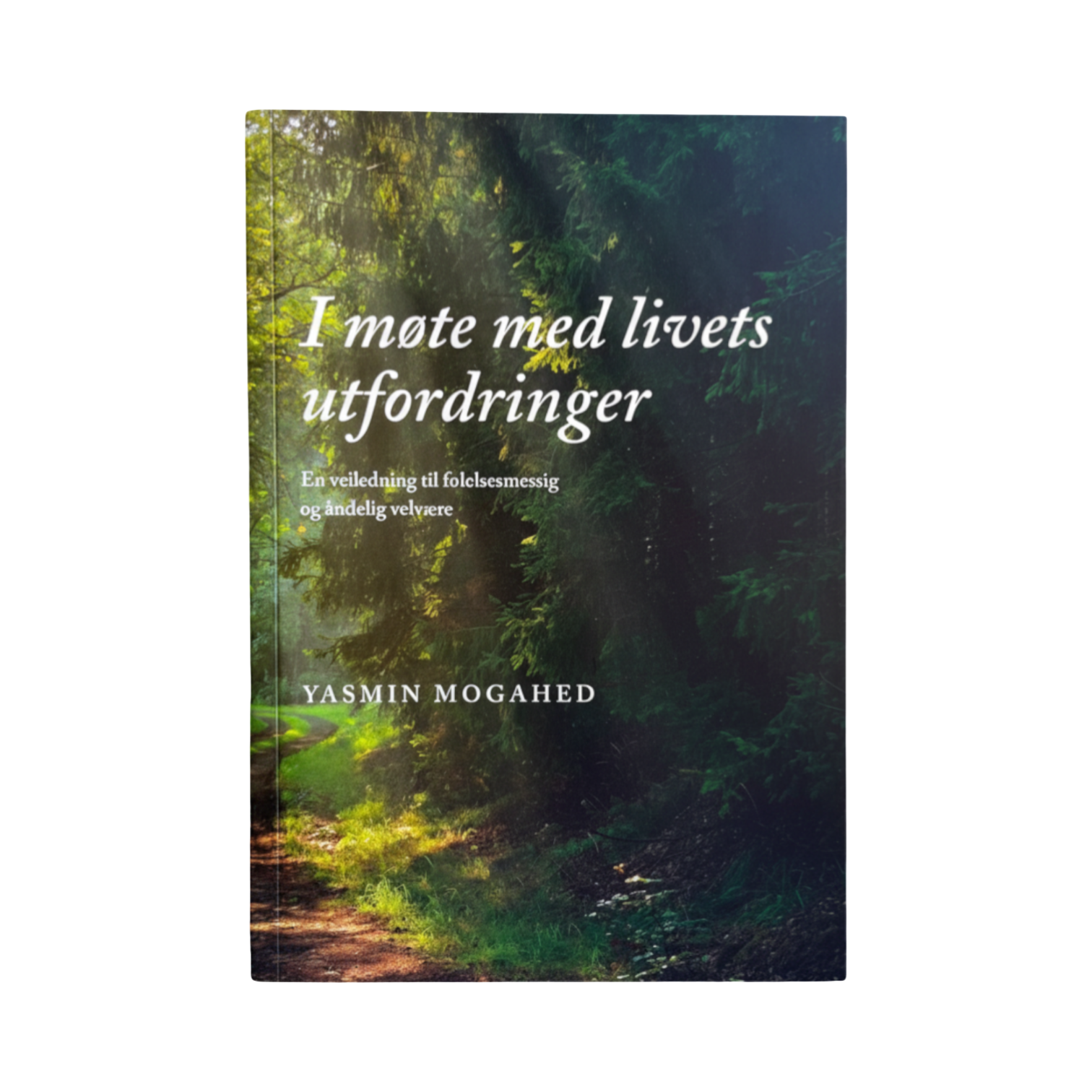 I møte med livets utfordringer